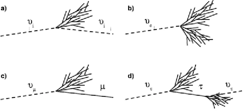 Figure 1.12. Representation of neutrino interactions in water: a. NC interaction. b.