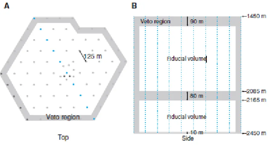 Figure 2.4. Schematic draw of IceCube. Grey regions are used for veto. A. IceTop. B. InIce.