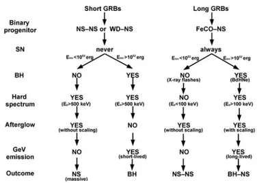 Figure 1.5. This scheme describes both long and short GRBs as a result of a binary process: it also