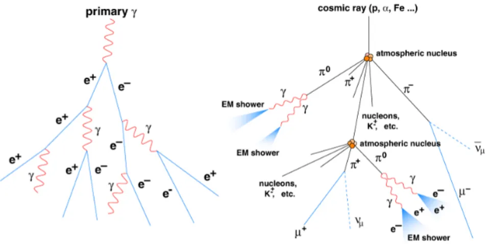 Figure 2.12: Schematic representation of two atmospheric showers initiated by a photon (left) and by a proton (right).