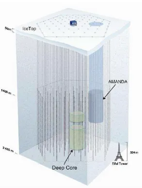 Figura 3.2. Una visuale laterale del detector IceCube. Il detector AMANDA è presente