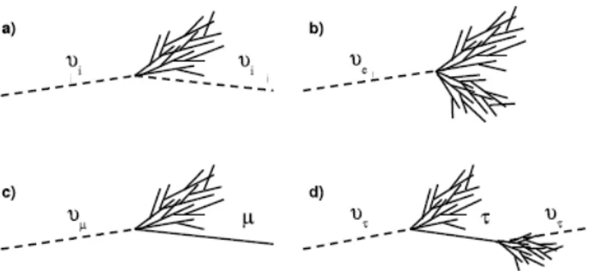 Figura 3.1. Illustrazione dei vari tipi di reazioni in acqua: a. interazione a “Corrente