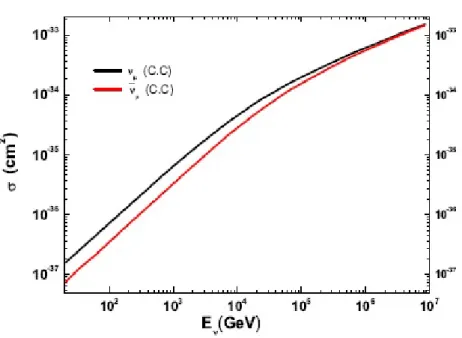Figura 2.2: sezione d’urto dei neutrini ⌫ µ e degli antineutrini ¯ ⌫ µ in funzione