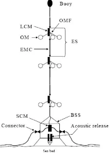 Figure 3.14. Scheme of a detector string with all the principal components shown. The acronyms are presented and described in the text