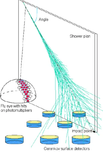 Figura 1.10. Schema di rivelazione ”ibrida” di EAS. Sono mostrati i rivelatori si superficie (Surface Detector, DS) e i rivelatori di luce di fluorescenza (FD).