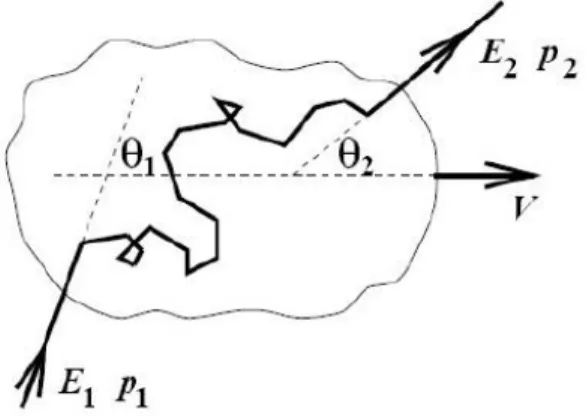 Figura 1.3: Una particella di energia E 1 e impulso p 1 collide con una nube,