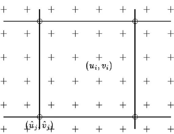 Figura 1:Campo del moto 'spline': i vettori spostamento u_i= (u_i,v_i) vengono rappresentati con le croci (+),  e vengono controllati da un minor numero di vertici di controllo (u_j=) ̂((u_j,) ̂(v_j)) ̂, rappresentati con i  cerchi (o).