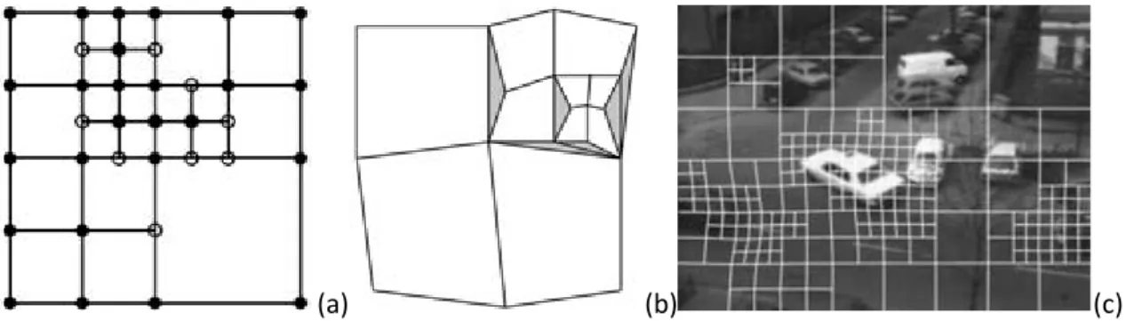 Figura 3: calcolo del moto con il metodo quadtree. a) rappresentazione del metodo quadtree