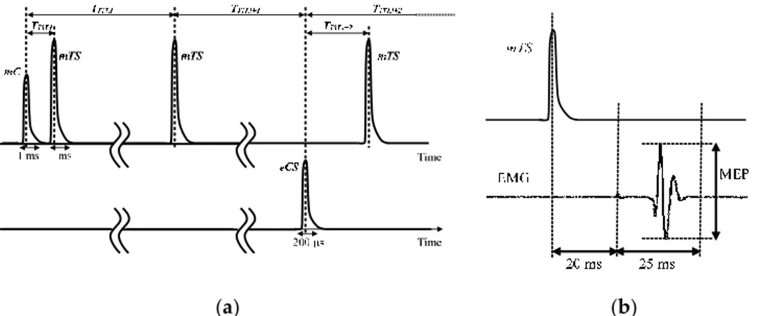 Figure 1-2: (a) Example of a set of three stimulus trains in a diagnosis protocol: 