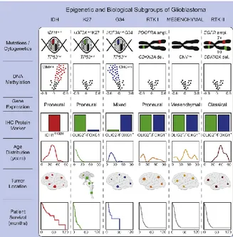 Figure 4. Summary of key molecular features of GBM subgroups and biological correlations 