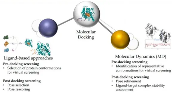 Fig. 01. Computational methods based on Molecular docking can be divided in ligand-based and
