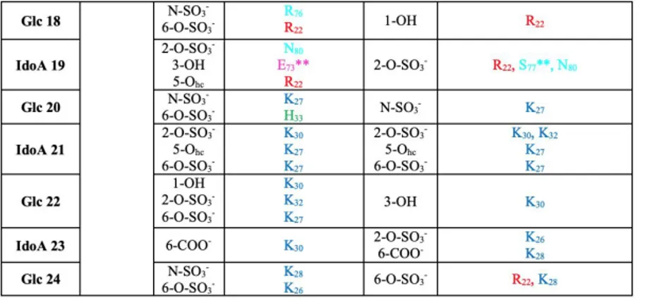 Tab. 02. H-bonds analysis of the 24-mer heparin/p17 dimer complex from docking or MD simulations