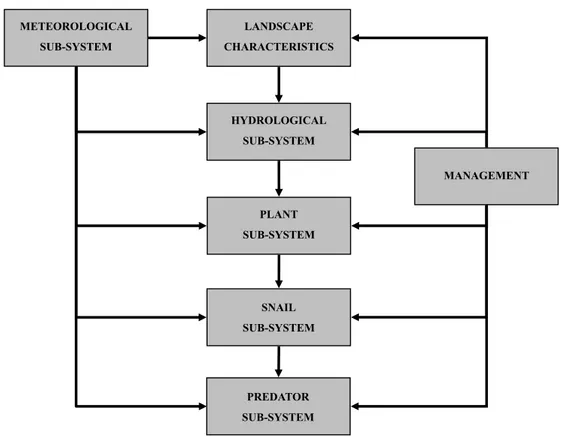 Figure 10:  A schematic representation of the Pomacea canaliculata population system  Scale aspects and landscape characteristics  
