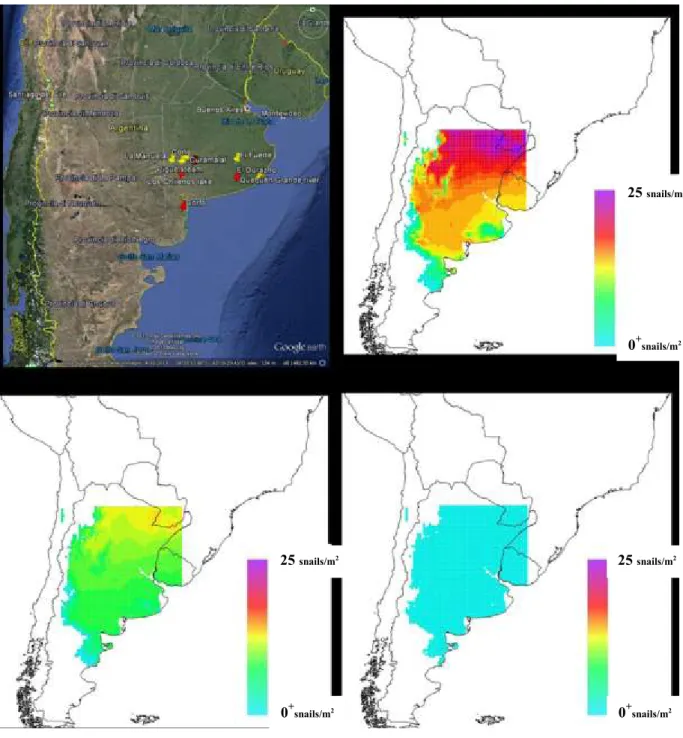 Figure 11:  Pomacea  canaliculata  model  calibration  (version  PM1.5).  The  top  left  section  of  the  Figure indicates the locations used for the interpolation of the southernmost distribution of apple snail  in Argentina