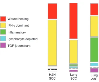 Fig. 1  Immune types of head and neck and lung cancer. The immune landscape of squamous  carcinoma of lung is broadly similar to that of squamous cell carcinoma of the head and neck,  whereas adenocarcinoma of the lung shows marked differences