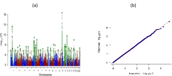 Fig 2.2. (a) Manhattan plot from the meta-analysis of 135,458 MDD cases and 399,401 controls (Wray  et al