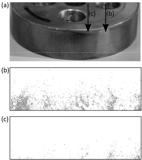 Figure 9. Detection of damage discontinuity. (a) Polygonal specimen; (b) particles on a portion of the 