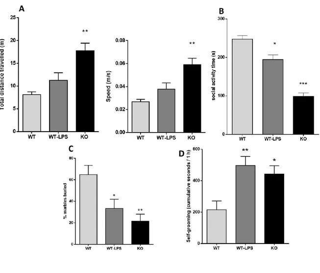 Figure 6. Locomotor, social, stereotype and repetitive behavior of adult WT, WT-LPS and KO mice