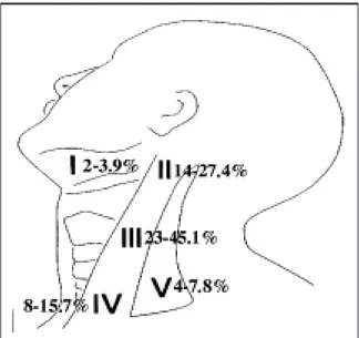 Fig. 2. Localization of detected micrometastases.