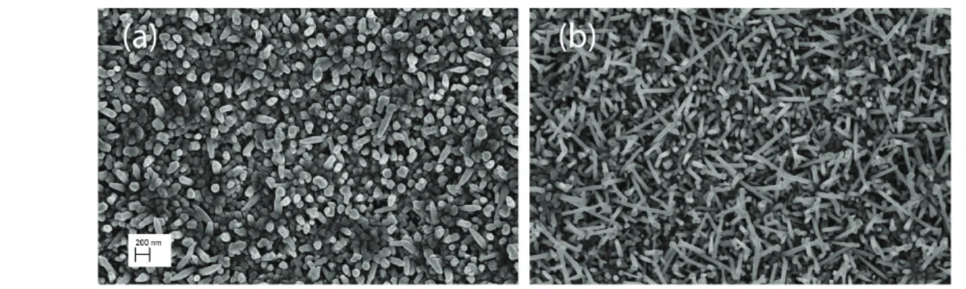Figure 1 reports the SEM image of two sensing devices,  showing the morphology difference between ZnO NRs  deposited at 200 W and 150 W RF power: in both cases we  observe a dense coverage of Co layer by ZnO NRs