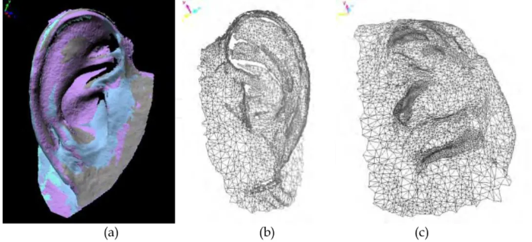 Fig. 8. Acquisition and creation of the ear model. (a): Alignment of the views in  correspondence with the right ear; (b): Mirrored mesh of the right  ear, (c): Mesh of the  defect 