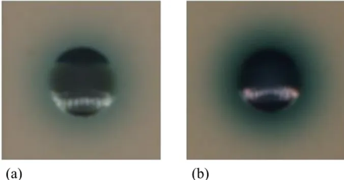 Fig. 5: Example of colonies presenting similar pigmentation: