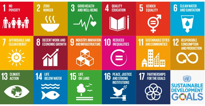 Figura 1. Gli Obiettivi di sviluppo sostenibile