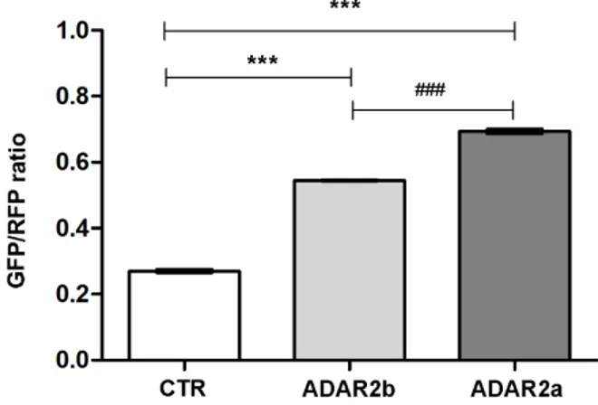 Table 1. 5-HT 2c R editing levels in DIV14 cortical neurons overexpressing ADAR2 splicing isoforms