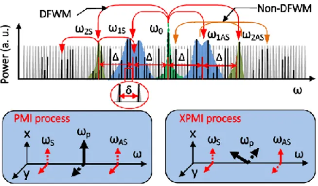 Figure  1.  PML  dynamics  based  on  stochastic  parametric  conversion.  The  insets  are  phase-matching  processes  of  two  different  vector  MI  processes