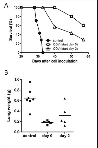 Figure  4:  Effect  of  delayed  CDV  treatment  on  metastasis-induced mortality. A, B, 2 x 10 6  F2T-luc2.9 cells 