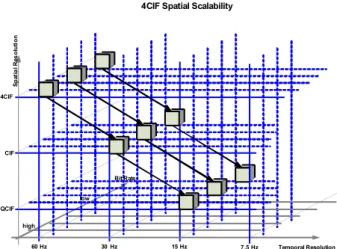 Figure 2: 4CIF extraction paths for spatial scalability. 