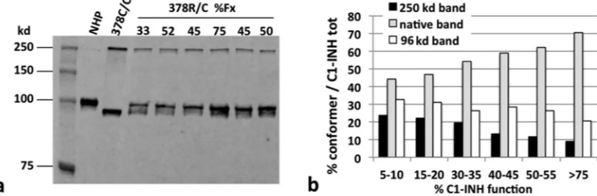 Figure 2.  Plasma C1-INH conformers versus function. (a) Non-reducing SDS-PAGE and immunoblot 