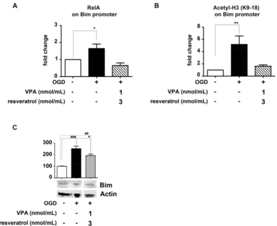 Figure 4. Effect of valproate (VPA) and resveratrol combination on RelA detachment from Bim 