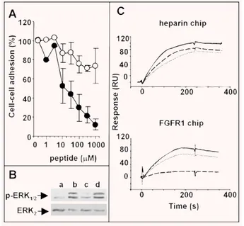 Fig. 2 Effect of Ac-ARPCA-NH 2 on the HSPG/FGF2/FGFR1 complex and
