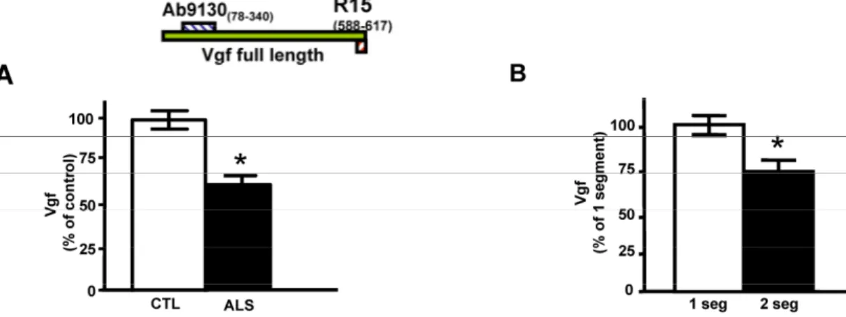 Figure 1. Full length Vgf content in CSF in ALS. In A, full-length Vgf was assessed by quantitative ELISA assays; in B, Vgf 