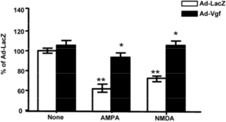 Figure 4. Exogenous adenoviral mVgf expression attenuates 