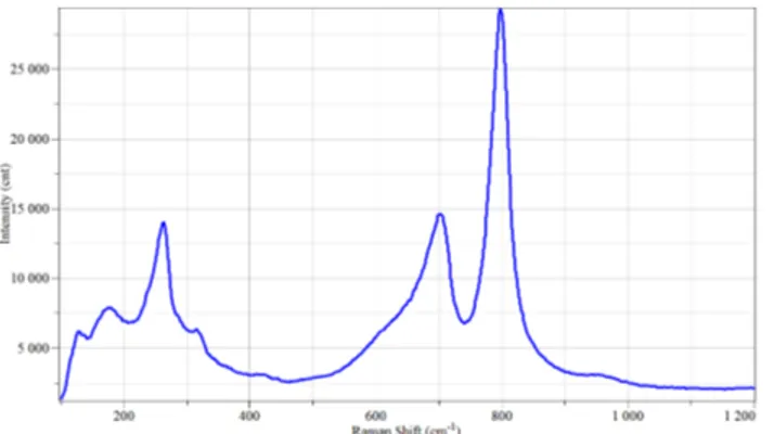 Figure 3: Raman Spectroscopy of WO 3  nanostructures synthetized on alumina substrates, at 600°C with a pressure  of 1 mbar (60 minutes)