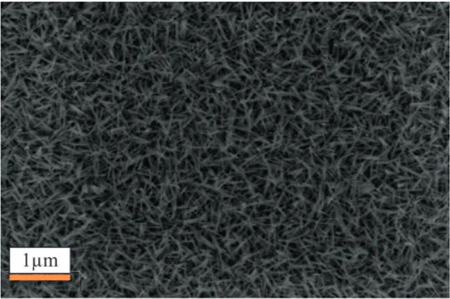 Fig. 1: SEM picture of tungsten oxide nanowires at 50k magnification level.