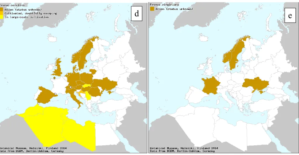Figure 2:   European distribution of the main hosts of Rhagoletis cingulata: (a) Prunus avium, (b) Prunus cerasus, (c) Prunus mahaleb, (d) Prunus serotina 