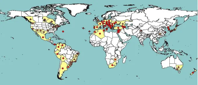 Figure 1:   Global  distribution  of  Daktulosphaira  vitifoliae  (extracted  from  EPPO  PQR  (2014, 