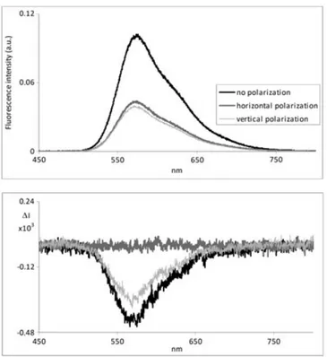 Fig. 1. Emission (top) and circularly polarized luminescence spectra (excitation at 400 nm) of chloroform solution of  poly[3-((S)-2-methylbutyl)-thiophene] in a 2-mm cell for exciting radiation with no polarization (black bold trace), with horizontal pola