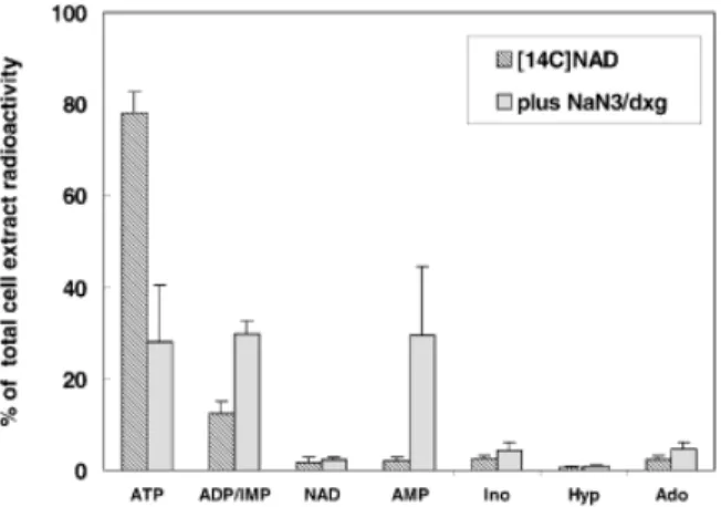 Fig. 3. Distribution of radioactive adenine compounds in cell extract of ATP-depleted ®broblasts