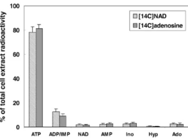 Fig. 4. Distribution of intracellular radioactive adenine com- com-pounds after incubation of human ®broblasts for 1 h with 1 mM U-[ 14 C]-adenosine