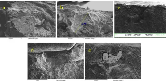 Fig. 5: SEM micrographic of fracture initiation area; (a) wheel n.3 failed in position B; (b) wheel n.12; (c) wheel n