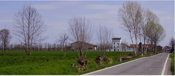 Fig. 3. The dovecote  towers are recognizable  in the plain landscape  skylines.