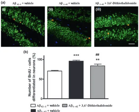 Fig. 4 (a) Effects of 3,6¢-dithiothalidomide treatment on the differen- differen-tiation of hippocampal neuronal progenitor cells, 4 weeks after b-amyloid (Ab) administration are presented