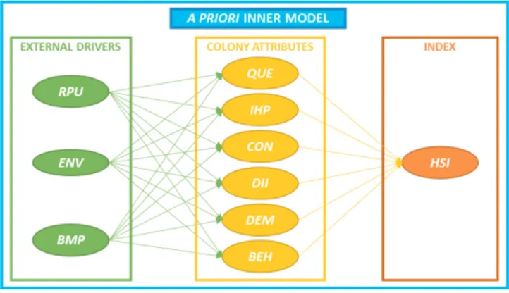 Fig. 2: A priori outer model for external drivers and colony  attributes latent variables