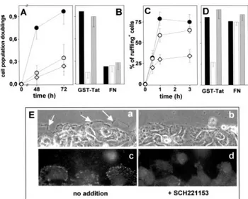 Figure 3. Effect of SCH221153 on Tat-dependent proliferation,