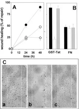 Figure 5. Effect of SCH221153 on Tat-induced angiogenesis in the