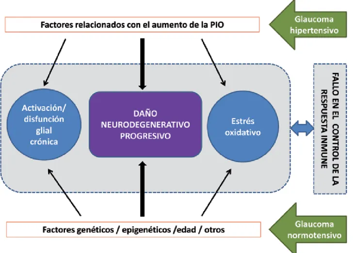 Figura 1:  En el esquema propuesto se integran diferentes factores de riesgo que, interactuando entre sí, estarían impli-